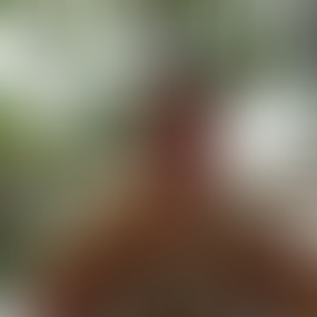 Single in Brs - kostenlose Kleinanzeigen auf Suche eine hbsche,spontane,Treue, schlanke Frau (bis normale figur) fr eine schne Single in Brs - Bekanntschaften - Partnersuche & Kontakte