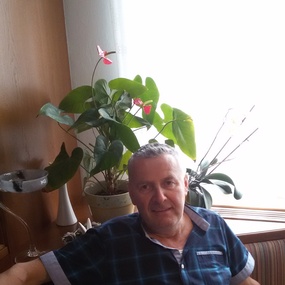 Single Frauen In Haidershofen