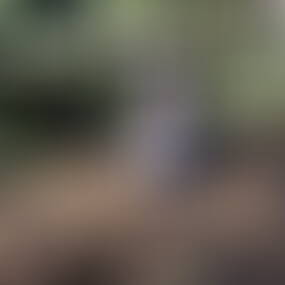 single sterreich gratis mautern an der donau. Stilla, 28. sterreich, Salzburg Nonntal Ich suche: eine Frau Familienstand: Single Sexuelle Orientierung: Lesben Single sterreich Gratis Mautern An Der Donau Pregarten