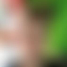 Alfred Gro in Zellerndorf - hat fr Sie 2 Telefonbucheintrge zu Alfred Gro gefunden. Alfred Gro in Zellerndorf im Telefonbuch finden | level-test.com
